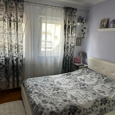 זאגרב Cosy Apartment-Private Parking מראה חיצוני תמונה