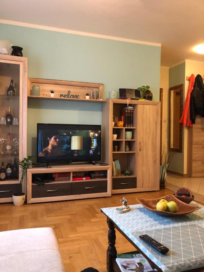 זאגרב Cosy Apartment-Private Parking מראה חיצוני תמונה