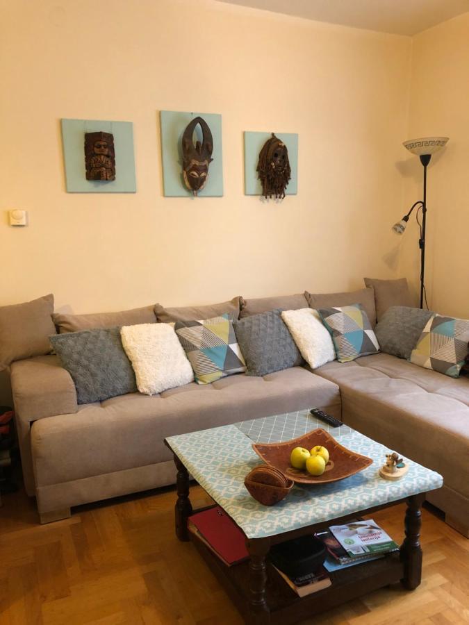זאגרב Cosy Apartment-Private Parking מראה חיצוני תמונה