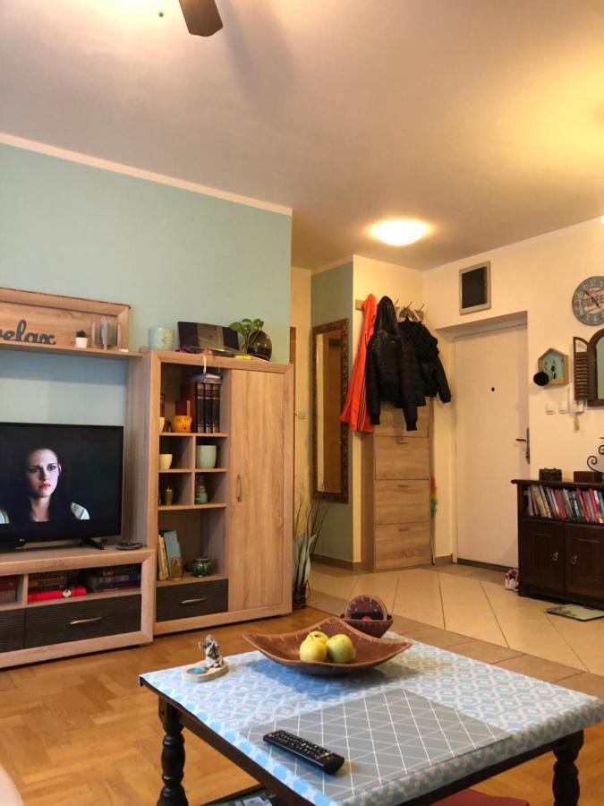 זאגרב Cosy Apartment-Private Parking מראה חיצוני תמונה