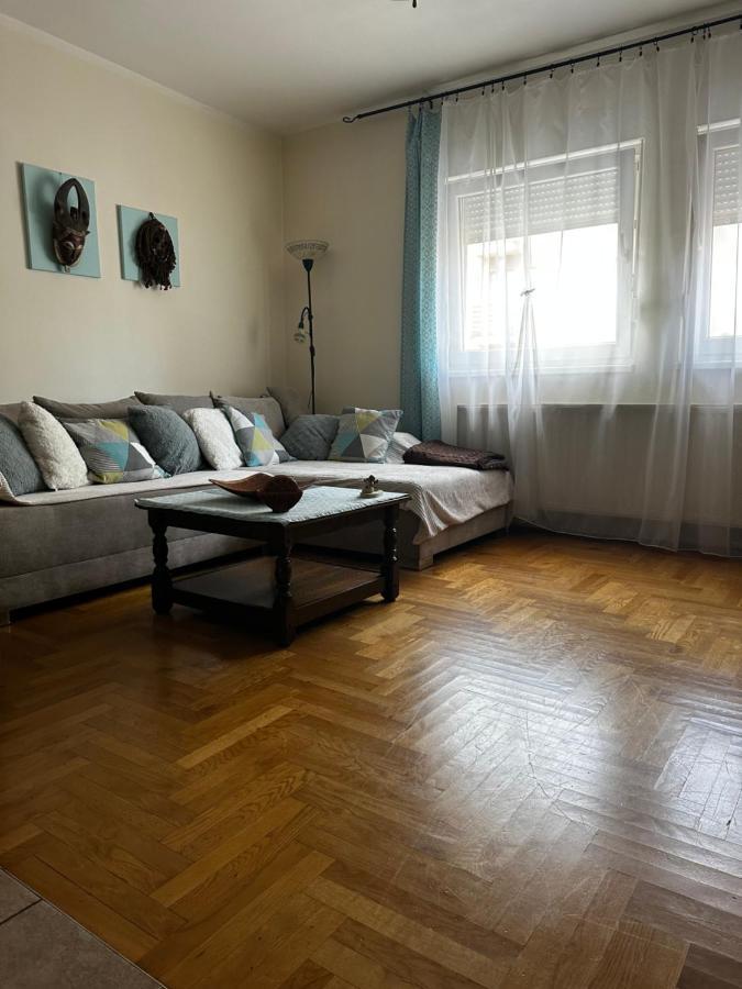 זאגרב Cosy Apartment-Private Parking מראה חיצוני תמונה