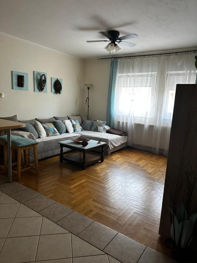 זאגרב Cosy Apartment-Private Parking מראה חיצוני תמונה